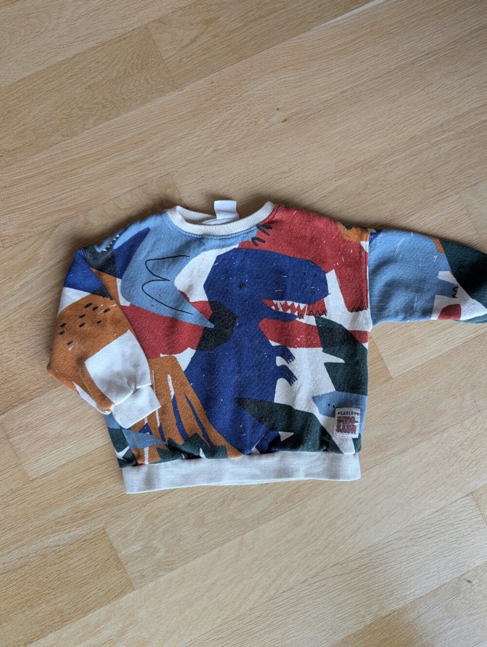 Trendy Multicolor Dinosaur Sweatshirt